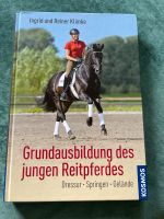 Grundausbildung des jungen Reitpferdes Berlin - Charlottenburg Vorschau