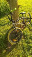 BMX guter Zustand Niedersachsen - Wangerland Vorschau