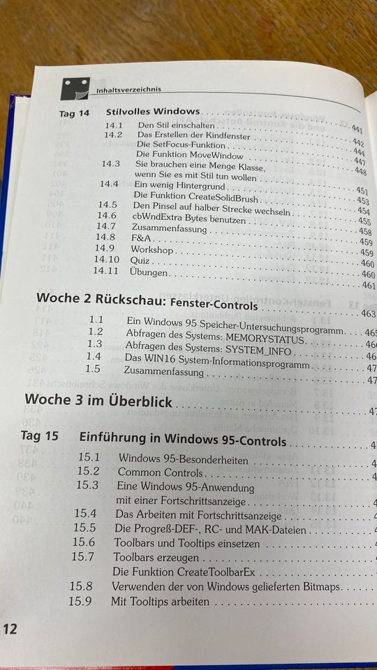 Windows 95 Programmierung in 21 Tagen - SAMS in Köln