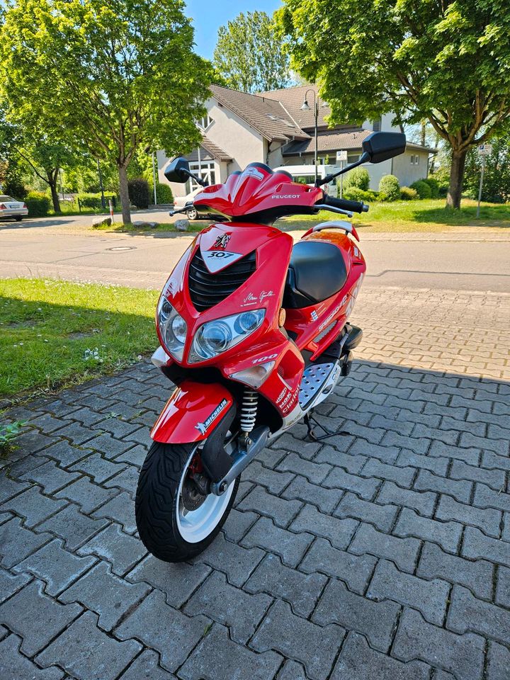 Peugeot Speedfight 2 100ccm WRC in Bruchmühlbach-Miesau