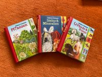 Kinderbücher Wissen Pferde/Steine/Pflanzen Nordrhein-Westfalen - Essen-Fulerum Vorschau