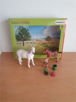 Schleich 42390 Farm World Pferd Fohlen & Zubehör komplett Rarität Nordrhein-Westfalen - Dorsten Vorschau