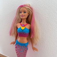 Barbie Meerjungfrau Spielzeug Mädchen pink Hessen - Dornburg Vorschau