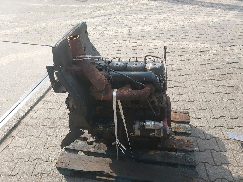 Deutz DX 80 4.30 7807 Motor F4L913 in Rhede