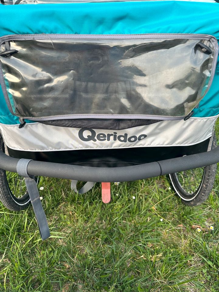 Qeridoo Sportrex 2 2019 Variante in Aquamarin in Braschwitz