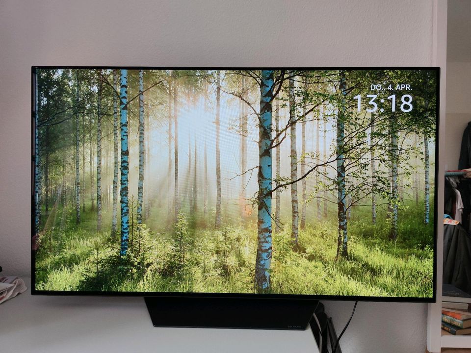 55 Zoll LG OLED 55BX9LB 4K Smart TV Fernseher in Leipzig