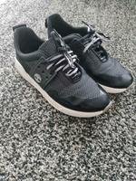 Timberland Schuhe - 39 Baden-Württemberg - Rangendingen Vorschau