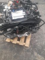 Motor CEU CTG  4,0TFSI  408PS  37TKM   S6 S7 S8  komplett Mecklenburg-Vorpommern - Neubrandenburg Vorschau