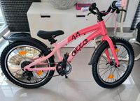 Ollo Fahrrad 20 Zoll in rosa pink (Leichtgewicht wie Woom) Nordrhein-Westfalen - Alsdorf Vorschau