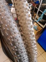 Schwalbe Reifen Racing Ralph No SRAM29x2.25 Berlin - Zehlendorf Vorschau