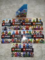 DK Lego Ninjago Masters of Spinjitzu 10 Bücher Box engl. Ausgabe Aachen - Aachen-Brand Vorschau