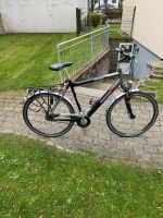 Herren Fahrrad xl  mit 8 Gang Shimano Schaltung Schleswig-Holstein - Flensburg Vorschau