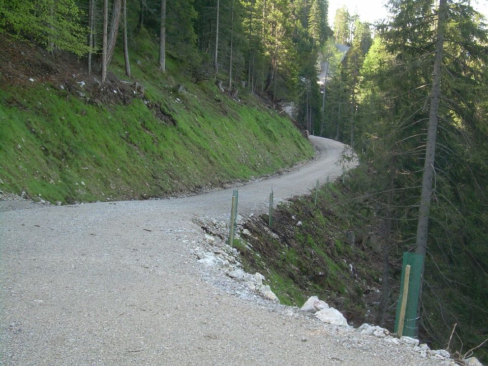 Bau von Forstwegen, Baustraßen & Feldwegen in Weimar