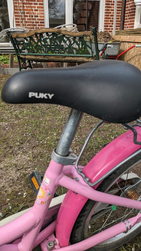 Puky Fahrrad Prinzessin Lillifee, 18 Zoll in Flensburg