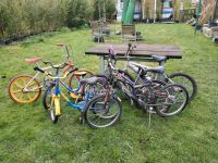 Fahrräder gebraucht Nordrhein-Westfalen - Oberhausen Vorschau