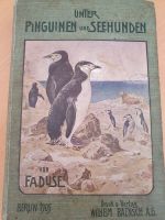 Erstausgabe! Unter Pinguinen und Seehunden (1905) S.A.Duse Leipzig - Leipzig, Zentrum Vorschau