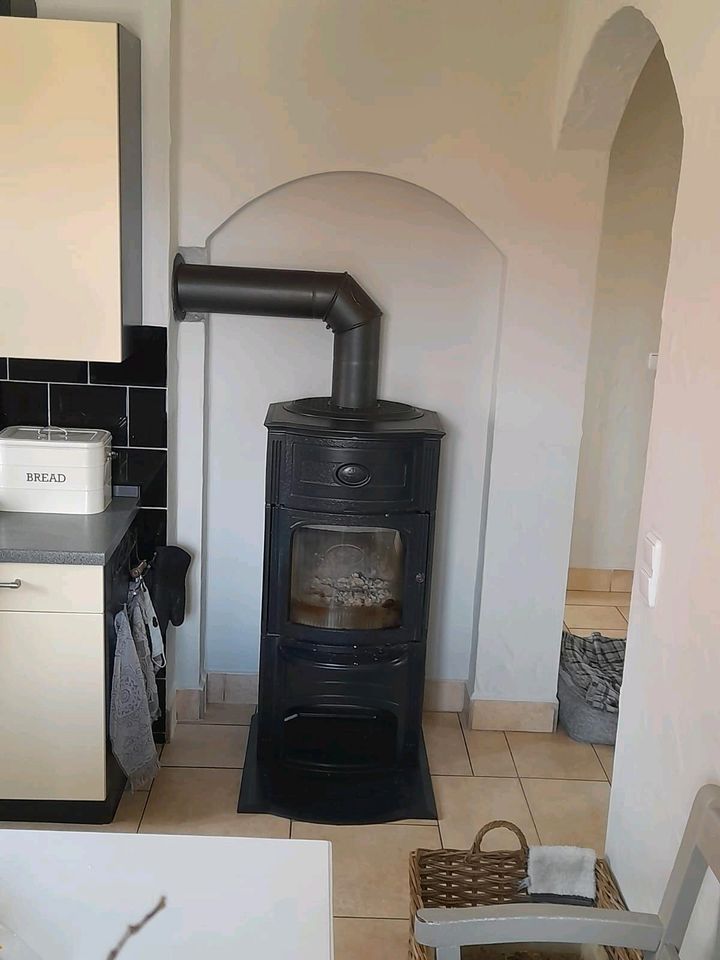 Jøtul F301 Kaminofen Jotul in Flieden