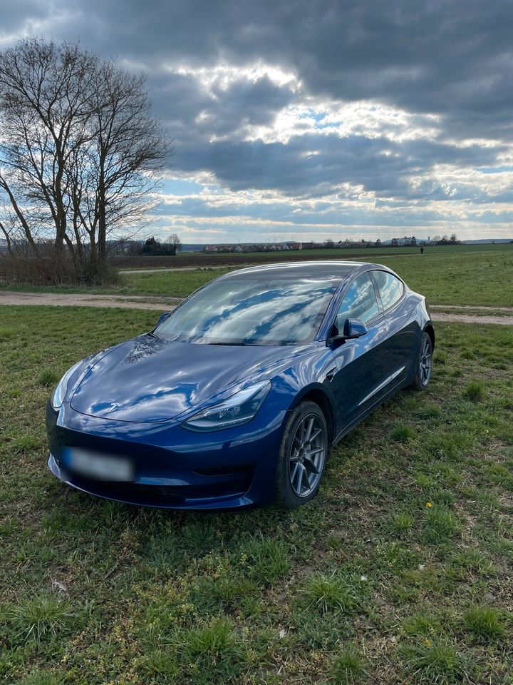Tesla Model 3 in Flensburg