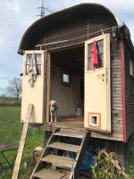 Bauwagen (Holz) zu verkaufen Münster (Westfalen) - Wienburg Vorschau