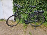 Hercules Robert 8 PRO Ebike E Bike Elektro Fahrrad schwarz Bosch Nordrhein-Westfalen - Erftstadt Vorschau