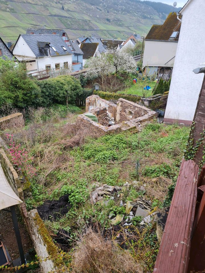 Freistehendes Einfamilienhaus in Reil