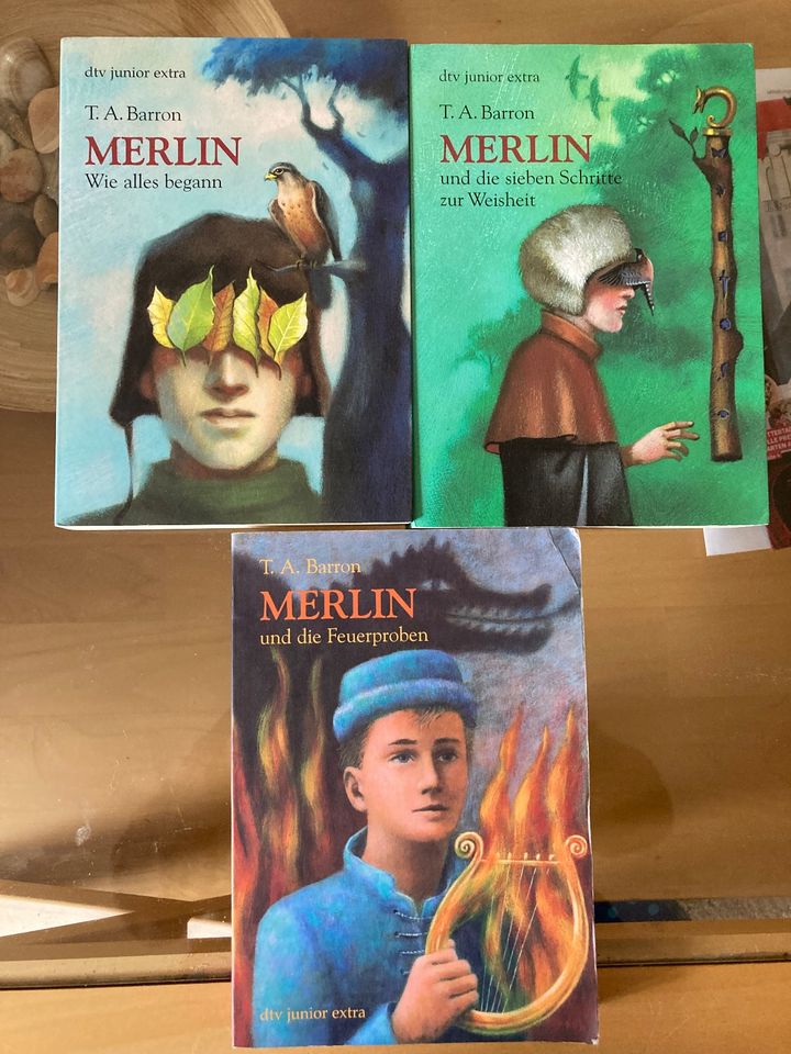 MERLIN-Saga, 3 Bände, spannende Jugendbücher, Kult in Neustadt