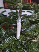 20 Kabellose LED Lichter Weihnachtsbaum Baumkerzen Kerzen Lichter Wandsbek - Hamburg Eilbek Vorschau