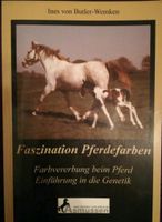 Faszination Pferdefarben Rheinland-Pfalz - Selzen Vorschau