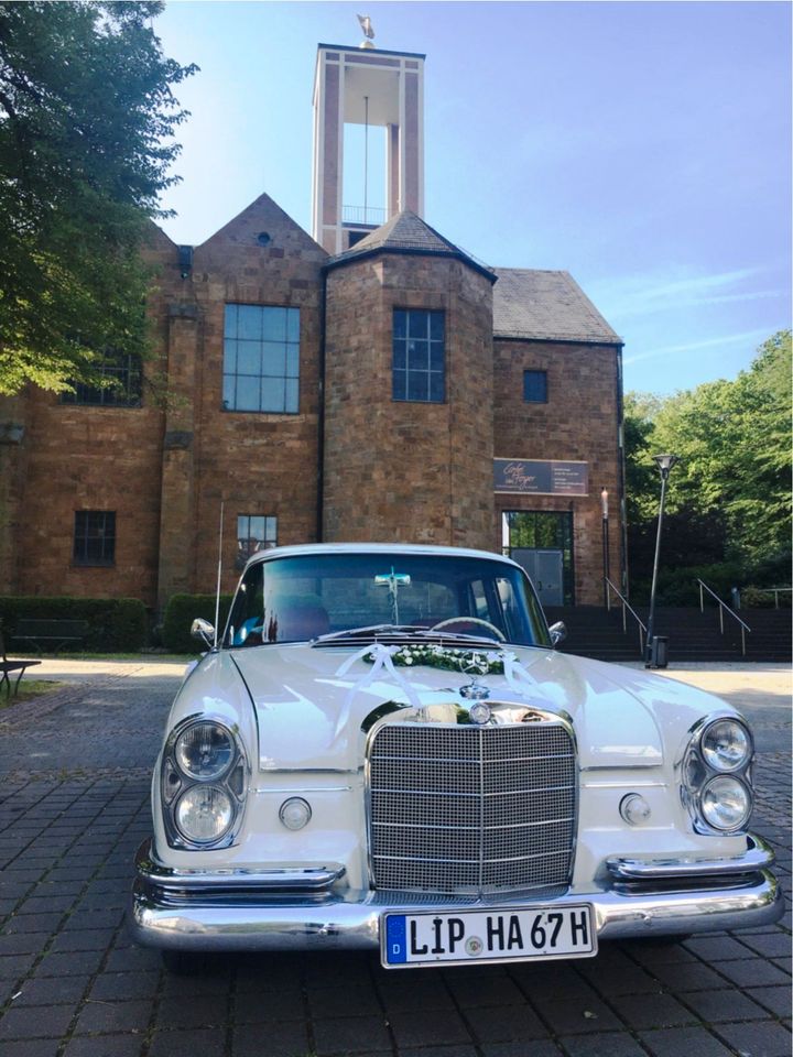 Hochzeitsauto Brautauto Oldtimer VW T2 Mercedes Heckflosse in Dörentrup