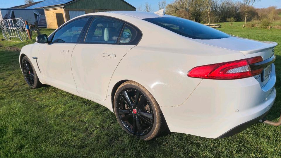 Jaguar XF 2.2 Diesel in Dannewerk