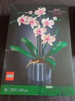 Lego Orchidee Nordrhein-Westfalen - Detmold Vorschau