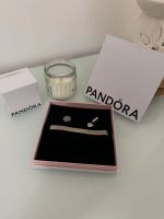 Pandora Reflektion Armband, 17cm Sachsen-Anhalt - Dessau-Roßlau Vorschau