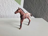 Schleich  Pferd Appaloosa Fohlen Bayern - Pfronten Vorschau