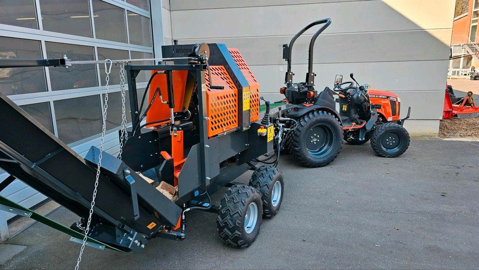 TAFE 6028M Hoftrac Kleintraktor  no Iseki Kubota Tym Avenger in Wietmarschen