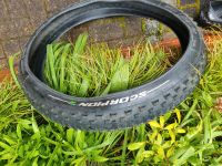 MTB Reifen Pirelli Scorpion Bayern - Kalchreuth Vorschau