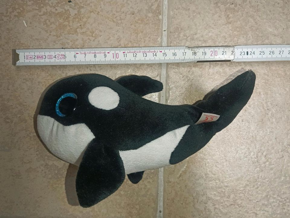 Ty Beanie Boos Glubschi Orca Nona 23 cm in Forchtenberg
