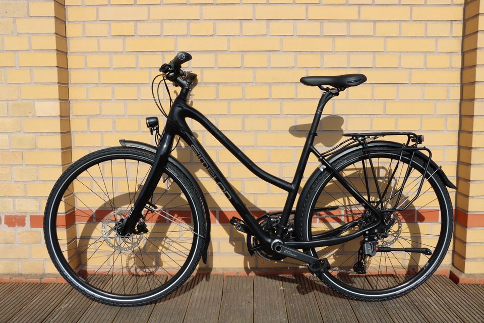 Simplon Silkcarbon Cues 6000 leichtes Trekkingbike in Magdeburg