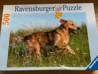 Ravensburger Puzzle 500 Teile "Golden Retriever" Niedersachsen - Sarstedt Vorschau