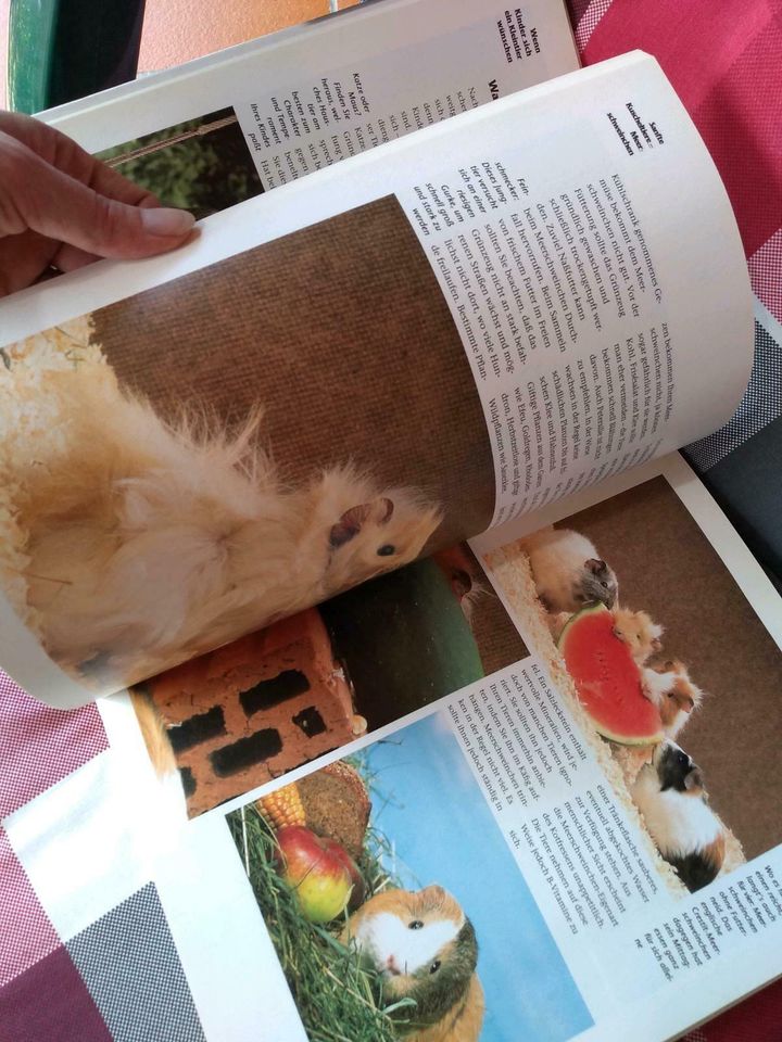 Kleintier Drollige Lieblinge für Kinder,Buch über Haustiere in Ellingen