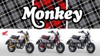 HONDA MONKEY 125 *vorbestellen* Baden-Württemberg - Winnenden Vorschau