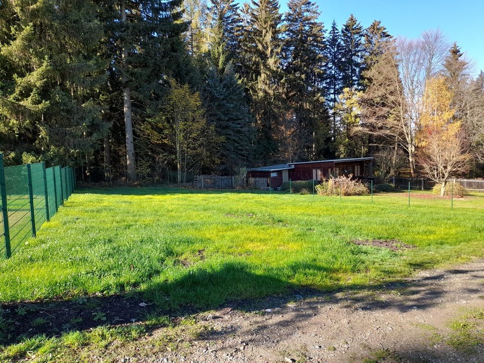 Garten, Gartengrundstück, Erholungsgrundstück in Auerbach (Vogtland)