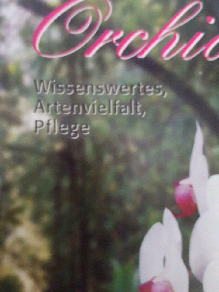 Orchideen Pflegebuch neuwertig in Burgoberbach