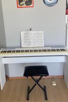 SDP-2 Digital Piano von Gear 4 music Thüringen - Jena Vorschau