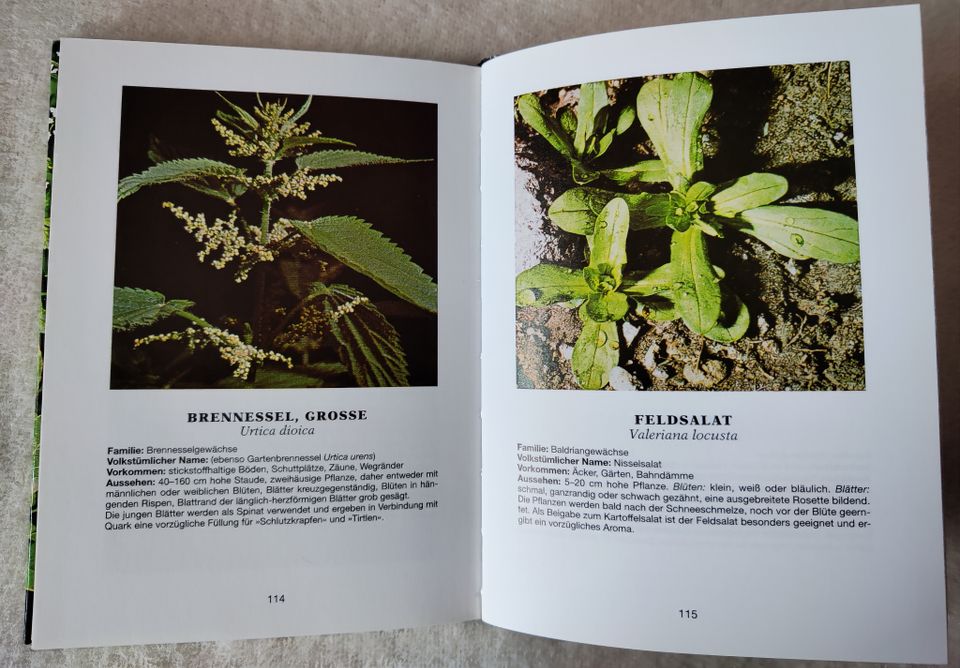 Pflanzenbuch Buch Gewürzkräuter Gewürz Fibel Christoph Mayr in Traunstein