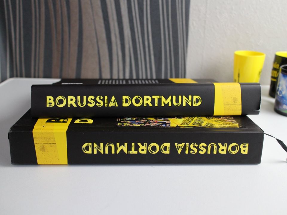 BVB Fanset, BVB Buch, BVB Tassen, NEU/Neuwertig in Nürnberg (Mittelfr)