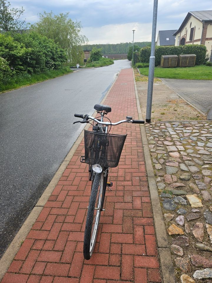 Herren Fahrrad 28 Zoll in Nienhagen MV