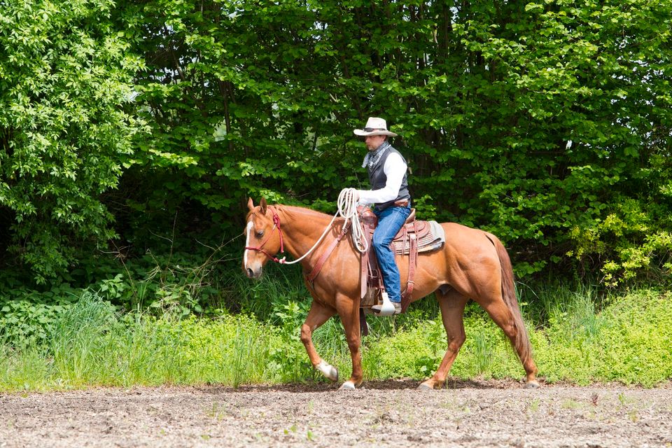 AUSGEBUCHT! 18./19. Mai 2024 Kurs Altkalifornische Reitweise in Walpertskirchen