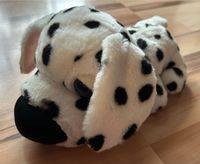 Hund Welpe Dalmatiner, weiß schwarz, großer Kopf/Augen/Nase 27 cm Brandenburg - Potsdam Vorschau