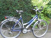 28 Zoll Fahrrad "Framework" 24 Gang Bergedorf - Hamburg Billwerder Vorschau