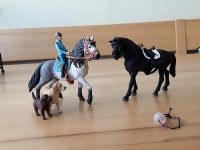 Schleich Set Pferde mit Reiter, Zubehör + Hunden Baden-Württemberg - Meckenbeuren Vorschau